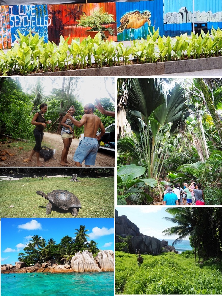 ISOLE SEYCHELLES - DI ANNALISA
