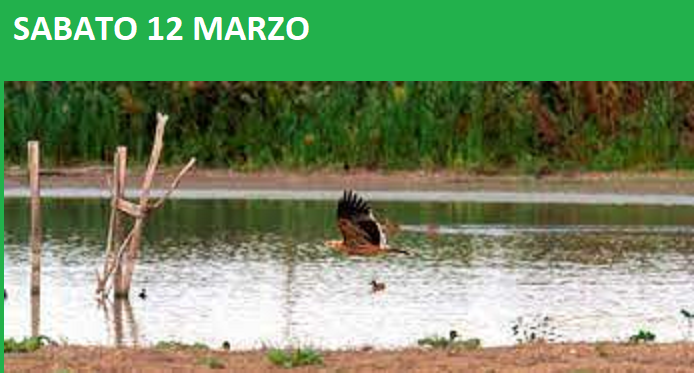 OASI DI MANZOLINO